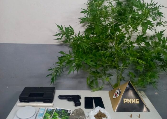 Pé de maconha no quintal, caderno de anotações de vendas e munição 9mm: PM encontra estrutura de tráfico montada no quarto de adolescente em Patos de Minas